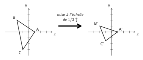 Mise à l'échelle