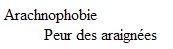 L'élément dd