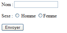 L'élément input