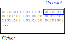 Un fichier binaire