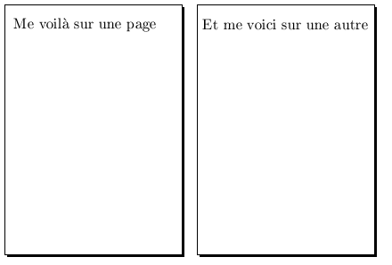 Exemple de la commande \newpage